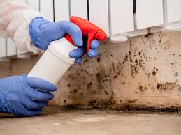 Best Emergency Mold Remediation  in San Francisco, CA